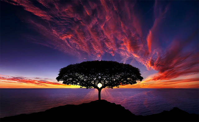 page,3,top 750 morning pics of the year 2015.html - 1 HD Photos | Premium Gallery 2015