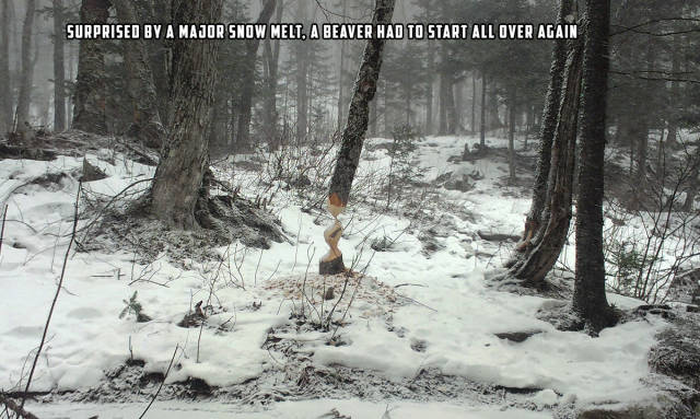 morning picdump 53 pics 40.html - 53 HD Photos | Premium Gallery 2015