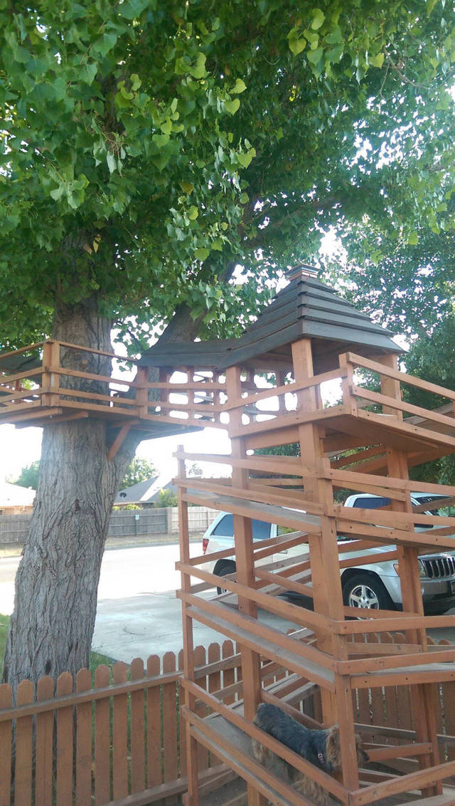 morning picdump 53 pics 40.html - 53 HD Photos | Premium Gallery 2015