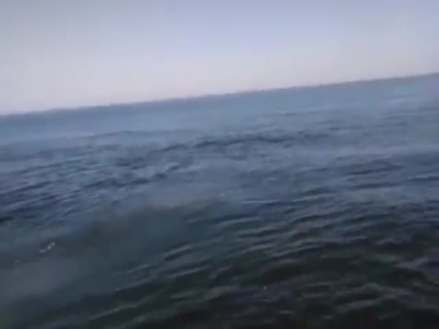 Fisherman Reels in a Surprising Sunfish Catch