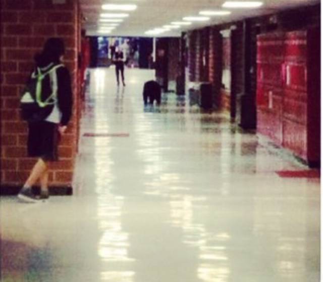 morning picdump 52 pics 15.html - 52 HD Photos | Premium Gallery 2015