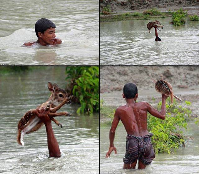 morning picdump 52 pics 15.html - 52 HD Photos | Premium Gallery 2015