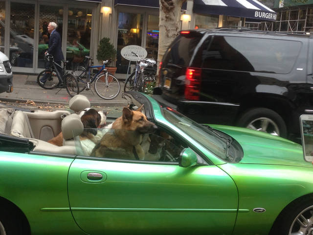 morning picdump 52 pics 15.html - 52 HD Photos | Premium Gallery 2015