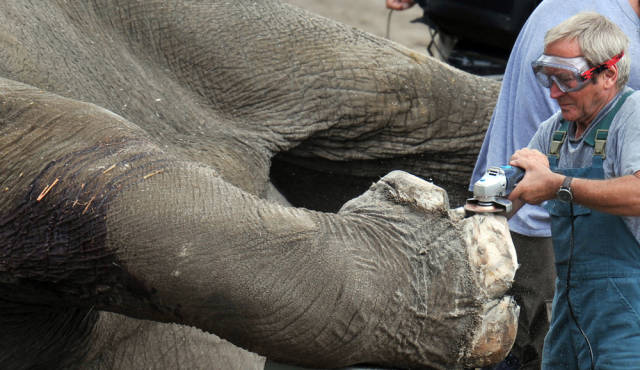 morning picdump 52 pics 15.html - 52 HD Photos | Premium Gallery 2015