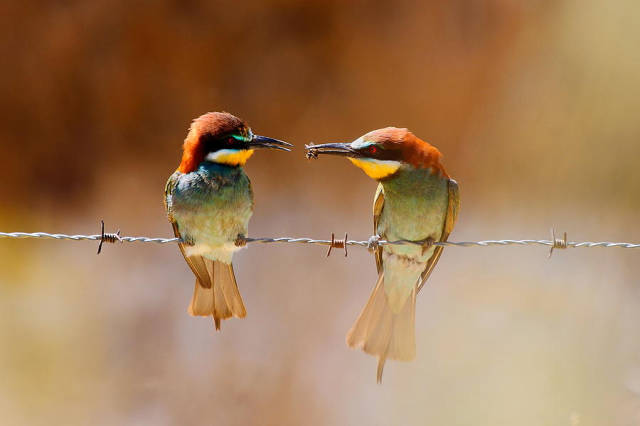 morning picdump 52 pics 15.html - 52 HD Photos | Premium Gallery 2015