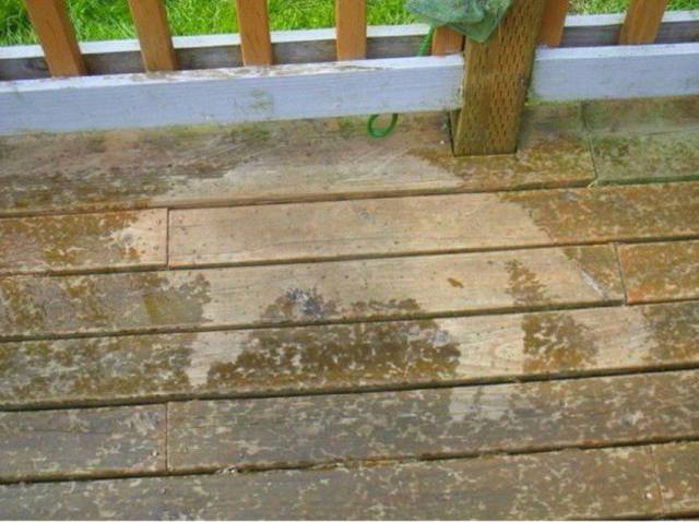 page,30,top 1500 daily pics of the year 2015.html - 1 HD Photos | Premium Gallery 2015