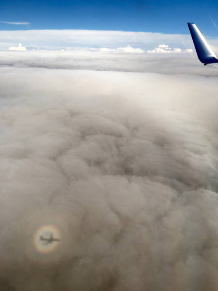 morning picdump 52 pics 16.html - 52 HD Photos | Premium Gallery 2015