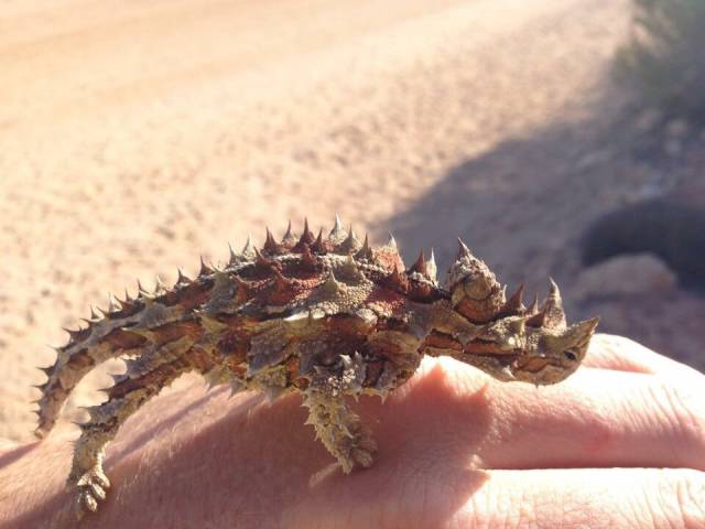 morning picdump 52 pics 16.html - 52 HD Photos | Premium Gallery 2015