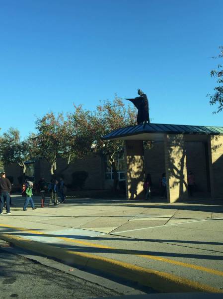 morning picdump 52 pics 16.html - 52 HD Photos | Premium Gallery 2015