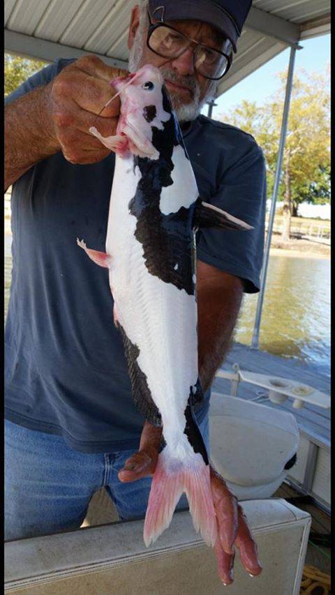 morning picdump 52 pics 16.html - 52 HD Photos | Premium Gallery 2015