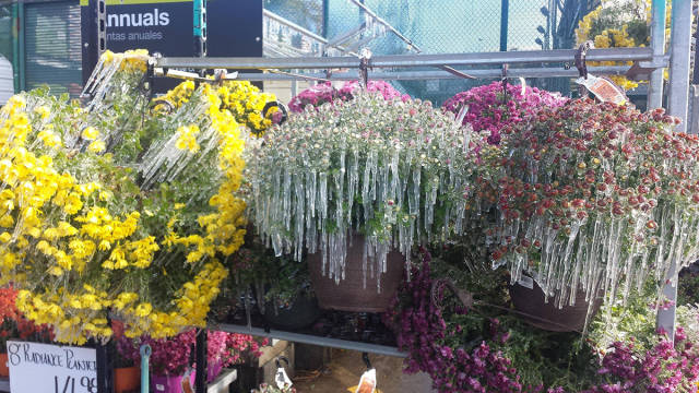 morning picdump 52 pics 14.html - 52 HD Photos | Premium Gallery 2015