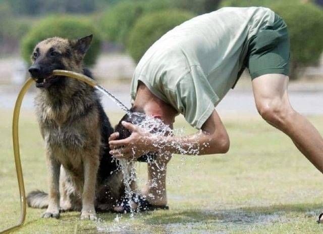 morning picdump 52 pics 14.html - 52 HD Photos | Premium Gallery 2015