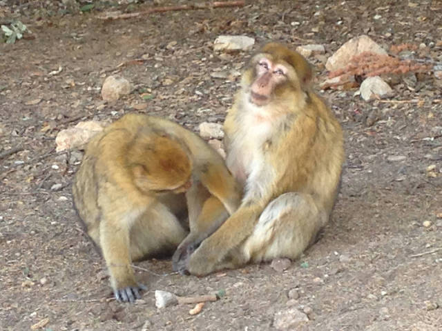 morning picdump 52 pics 4.html - 52 HD Photos | Premium Gallery 2015