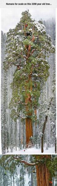 page,22,top 1500 daily pics of the year 2015.html - 1 HD Photos | Premium Gallery 2015