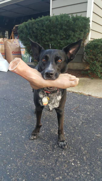 morning picdump 52 pics 17.html - 52 HD Photos | Premium Gallery 2015