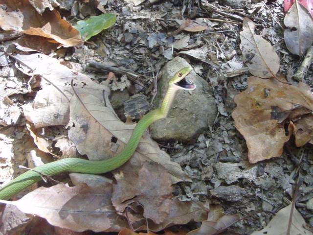 morning picdump 53 pics 48.html - 53 HD Photos | Premium Gallery 2015