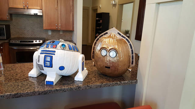 morning picdump 53 pics 48.html - 53 HD Photos | Premium Gallery 2015