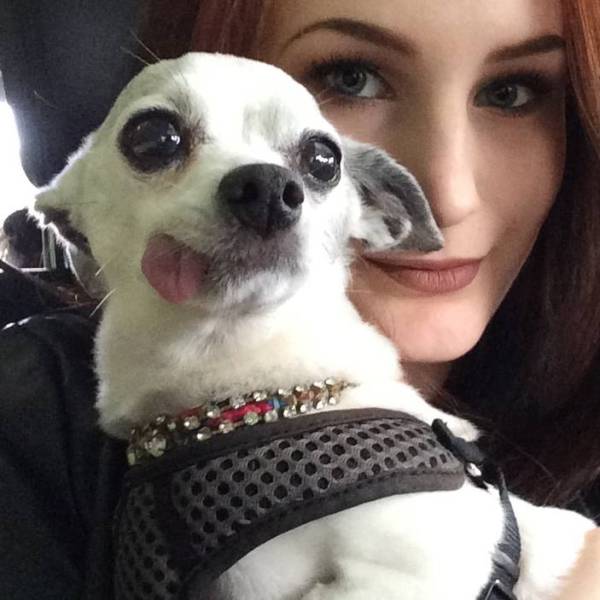 morning picdump 53 pics 48.html - 53 HD Photos | Premium Gallery 2015