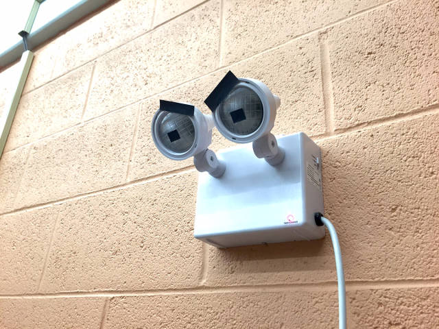 morning picdump 53 pics 48.html - 53 HD Photos | Premium Gallery 2015