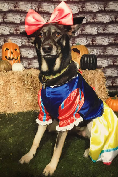 morning picdump 53 pics 48.html - 53 HD Photos | Premium Gallery 2015