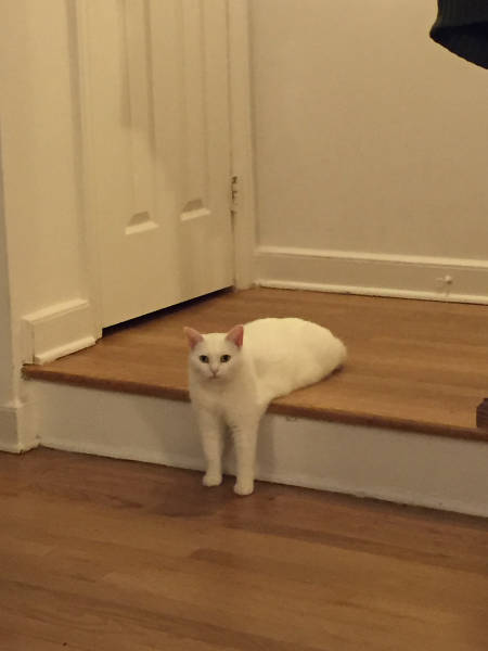 morning picdump 53 pics 48.html - 53 HD Photos | Premium Gallery 2015