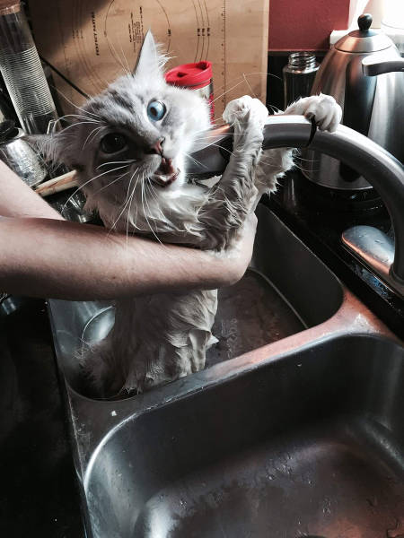 morning picdump 53 pics 48.html - 53 HD Photos | Premium Gallery 2015