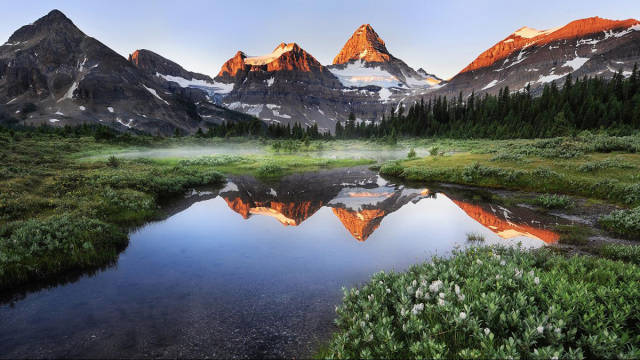 morning picdump 53 pics 48.html - 53 HD Photos | Premium Gallery 2015