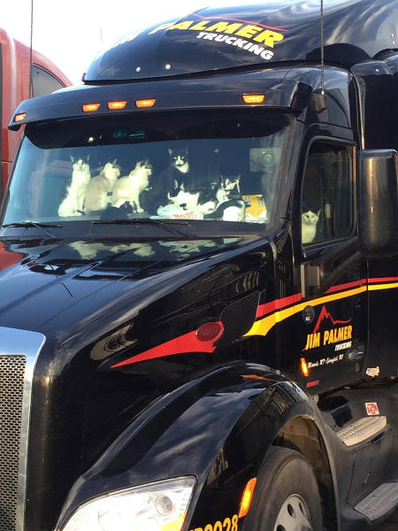 morning picdump 53 pics 8.html - 53 HD Photos | Premium Gallery 2015