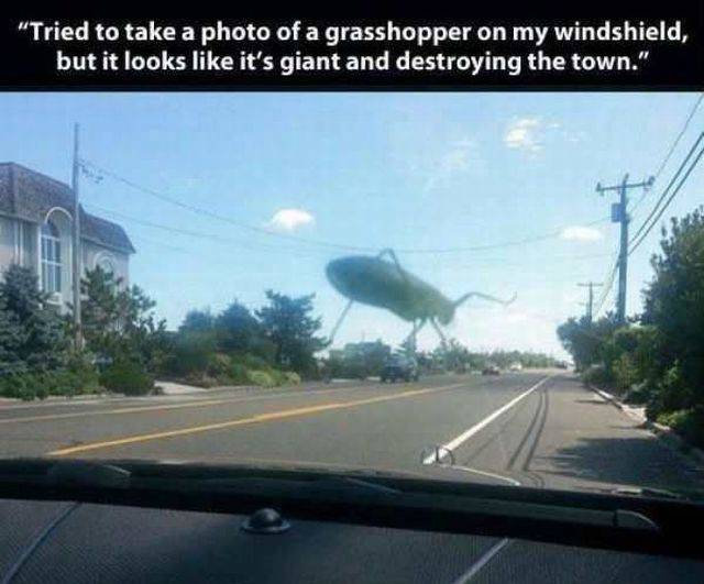 page,41,top 1500 daily pics of the year 2015.html - 1 HD Photos | Premium Gallery 2015