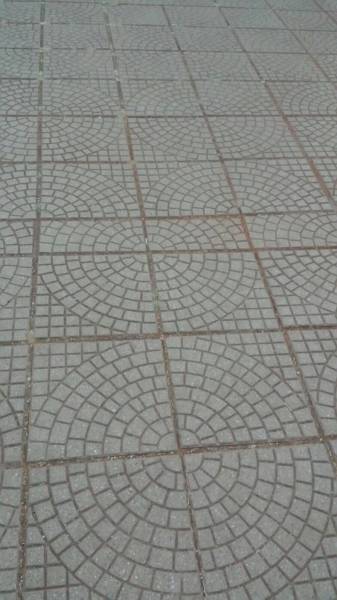 daily picdump 106 pics 26.html - 106 HD Photos | Premium Gallery 2015