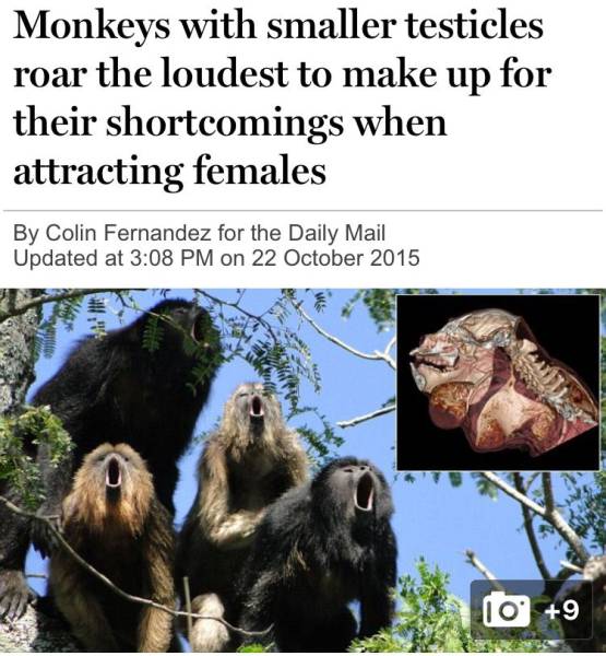 daily picdump 106 pics 26.html - 106 HD Photos | Premium Gallery 2015