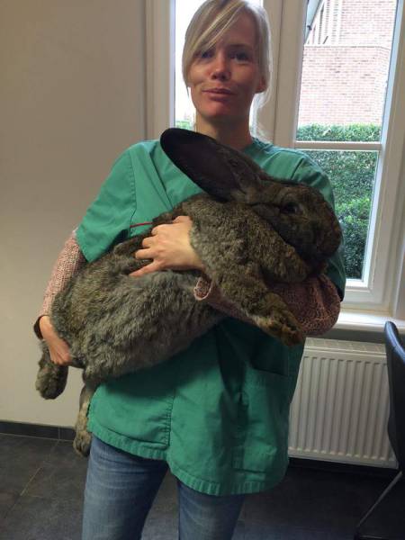 morning picdump 53 pics 22.html - 53 HD Photos | Premium Gallery 2015