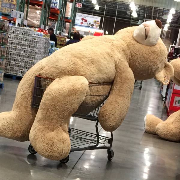 morning picdump 53 pics 22.html - 53 HD Photos | Premium Gallery 2015