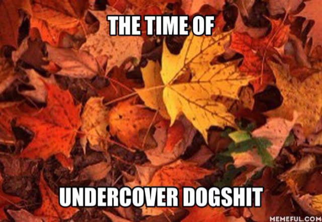 funny picdump 51 pics 17.html - 51 HD Photos | Premium Gallery 2015