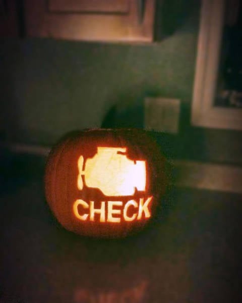 funny picdump 51 pics 17.html - 51 HD Photos | Premium Gallery 2015