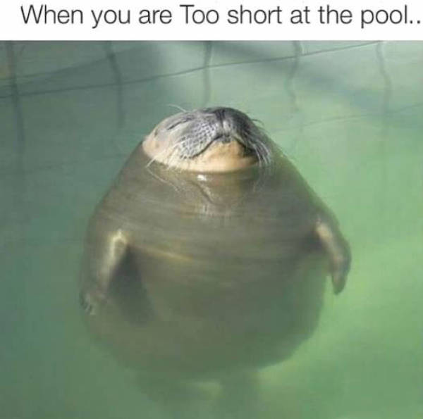 funny picdump 51 pics 17.html - 51 HD Photos | Premium Gallery 2015