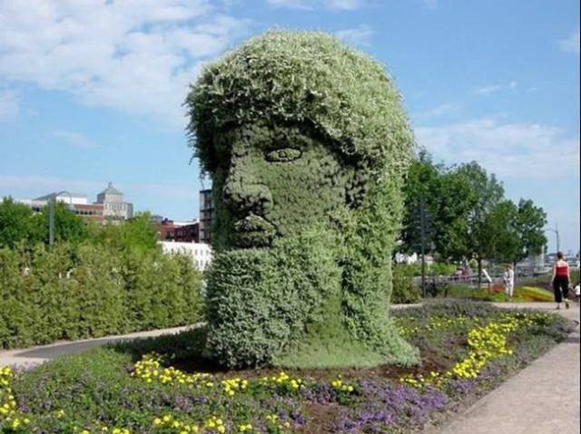 Morning Picdump