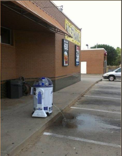 Morning Picdump