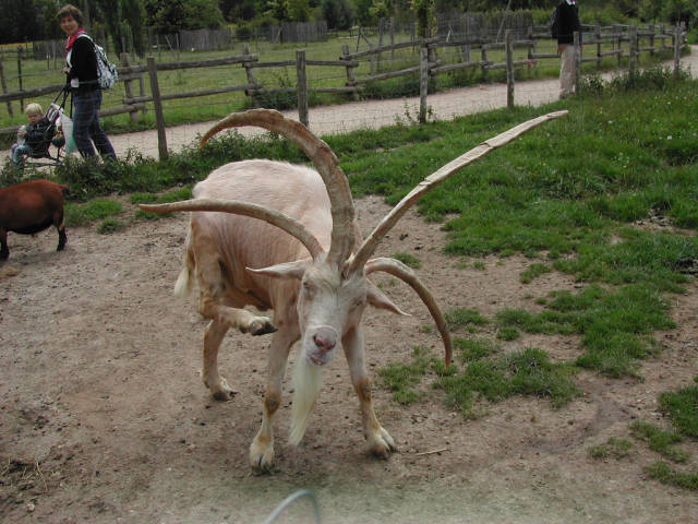 morning picdump 54 pics 3.html - 54 HD Photos | Premium Gallery 2015