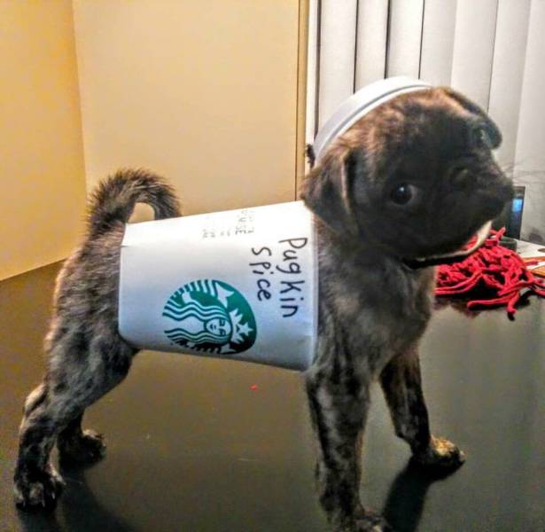 morning picdump 54 pics 3.html - 54 HD Photos | Premium Gallery 2015