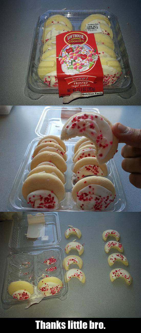 Brothers and Sisters Have a Really Unique Relationship