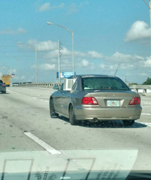 morning picdump 50 pics 14.html - 50 HD Photos | Premium Gallery 2015