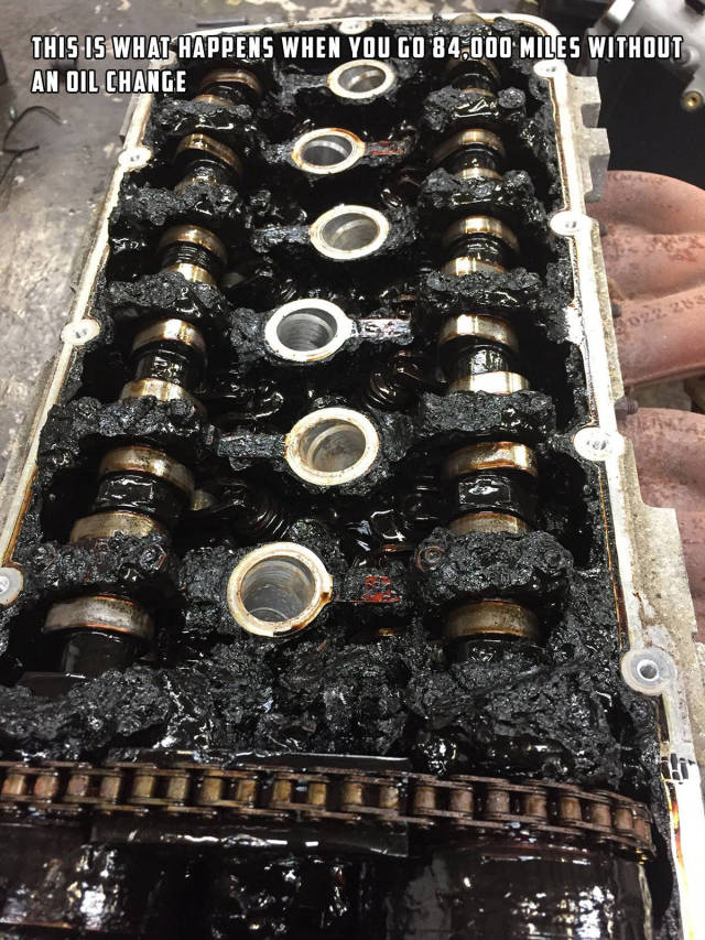 morning picdump 50 pics 14.html - 50 HD Photos | Premium Gallery 2015