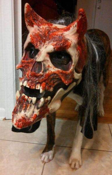 Halloween Costumes That Totally Rocked This Year