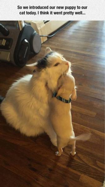 page,57,top 1500 daily pics of the year 2015.html - 1 HD Photos | Premium Gallery 2015