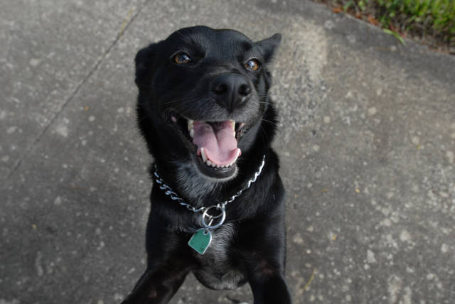 morning picdump 53 pics 2.html - 53 HD Photos | Premium Gallery 2015