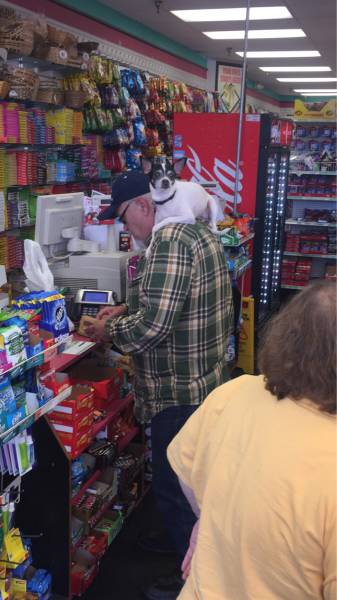 morning picdump 53 pics 2.html - 53 HD Photos | Premium Gallery 2015