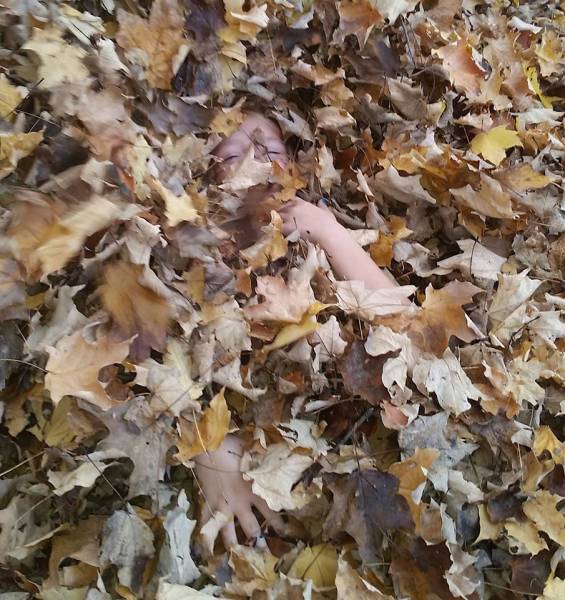 morning picdump 53 pics 2.html - 53 HD Photos | Premium Gallery 2015