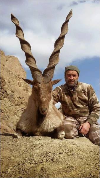 page,22,top 1500 daily pics of the year 2015.html - 1 HD Photos | Premium Gallery 2015