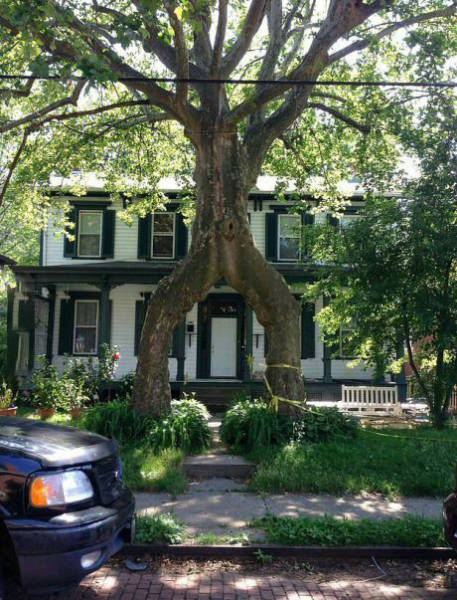 page,14,top 450 funny pics of the year 2015.html - 1 HD Photos | Premium Gallery 2015